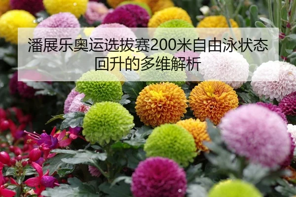 潘展乐奥运选拔赛200米自由泳状态回升的多维解析