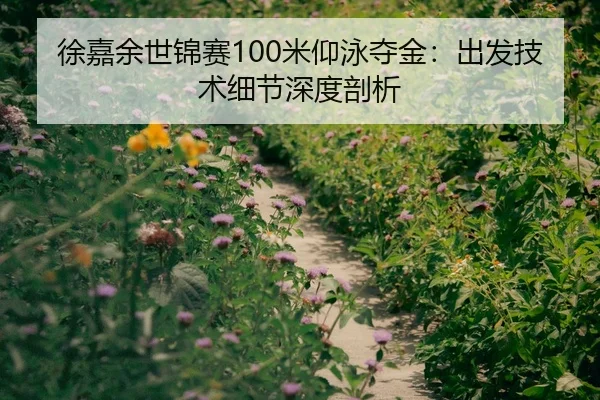 徐嘉余世锦赛100米仰泳夺金：出发技术细节深度剖析