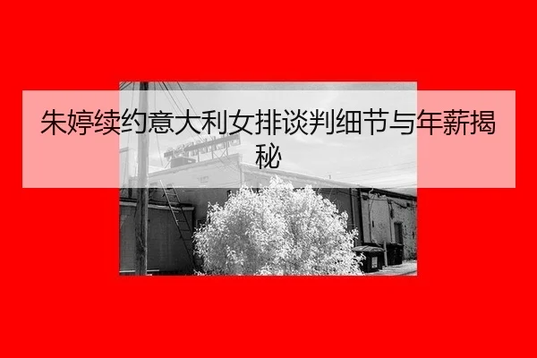 朱婷续约意大利女排谈判细节与年薪揭秘