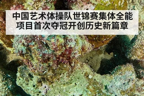 中国艺术体操队世锦赛集体全能项目首次夺冠开创历史新篇章