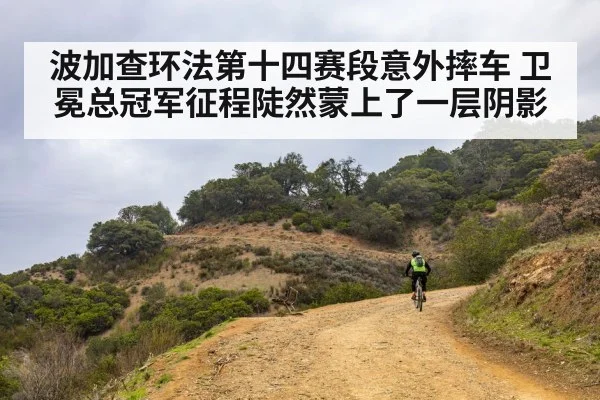 波加查环法第十四赛段意外摔车 卫冕总冠军征程陡然蒙上了一层阴影