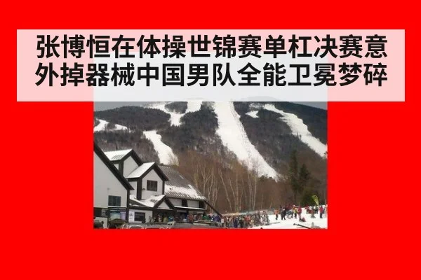 张博恒在体操世锦赛单杠决赛意外掉器械中国男队全能卫冕梦碎